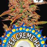 Aromas of Crete - Super Creme Hash Blue Dream 1g