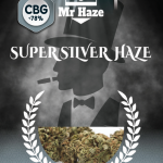 Mr Haze - Super Silver Haze 2g