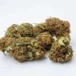 Aromas of Crete - Leonidas 2 & 5g